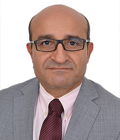 السيد محمود وزيري